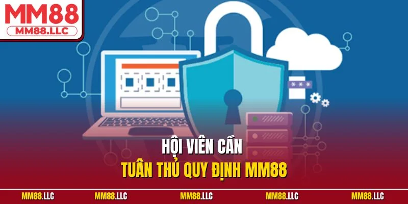 Hội viên cần tuân thủ quy định MM88