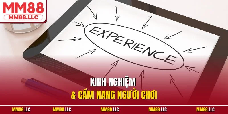 Kinh nghiệm và cẩm nang chơi Blog MM88